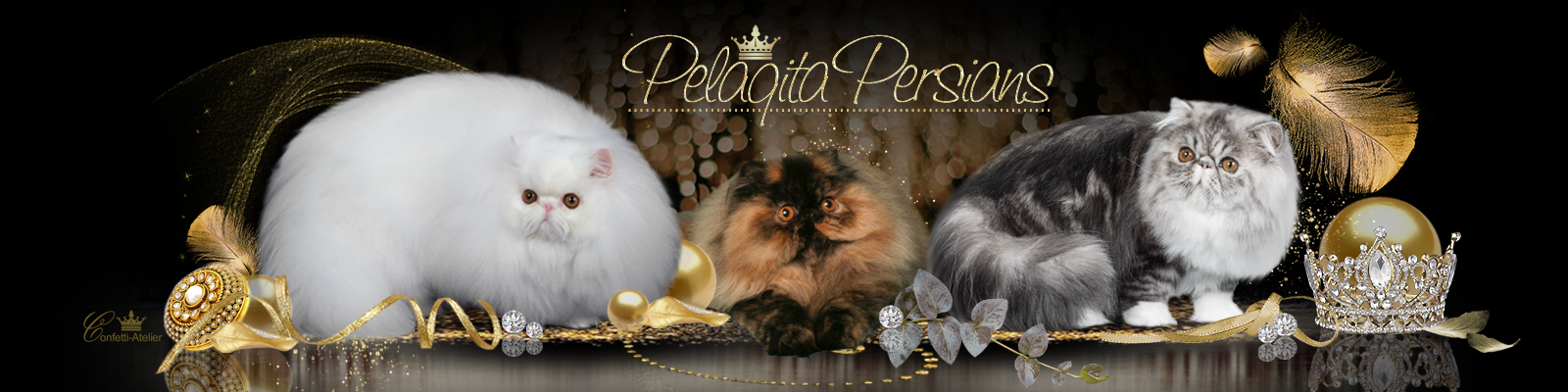 Pelaqita Persians