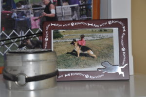 Purr's cremation urn and her picture - we still have these on our bookshelf