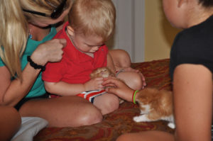 child holding a kitten