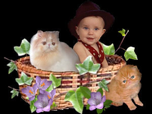 baby in a basket with a kitten