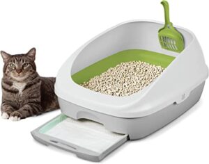 litter box