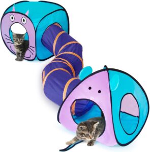 cat tunnel and cubes set