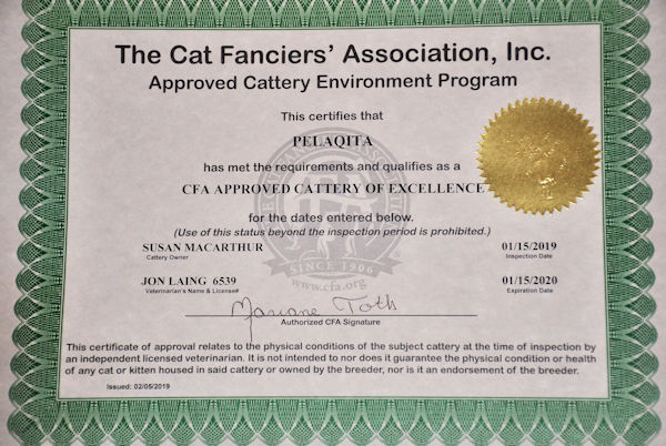 CFA Cattery of Excellence - 1/15/2019 - 1/15/2020