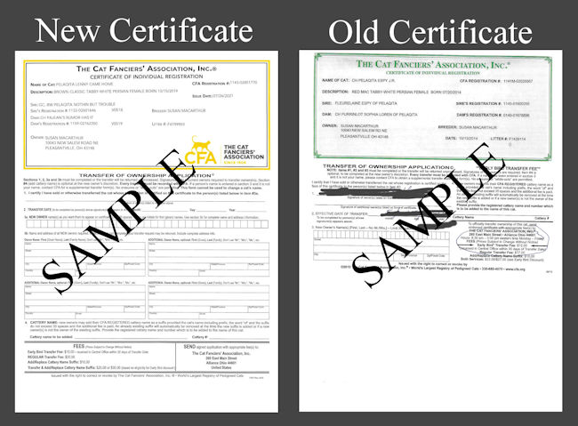 cfa registration certificate