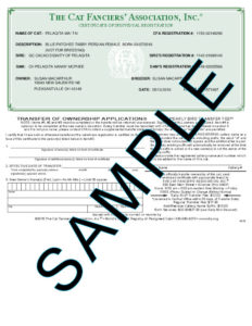 CFA Certificate of Registration