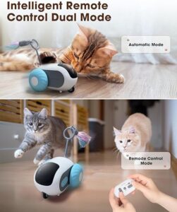 Remote control cat toy