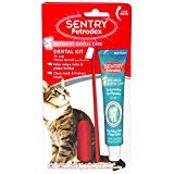 Toothbrush and toothpaste kit for cats